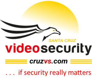 SANTA CRUZ VIDEO SECURITY LLC