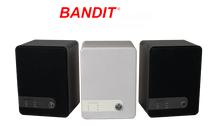 Load image into Gallery viewer, BANDIT 240DB/C Fog Unit