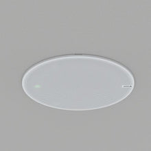Load image into Gallery viewer, Santa Cruz Video Security LLC - Image - AXIS C1210-E Network Ceiling Speaker