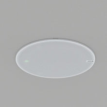 Load image into Gallery viewer, Santa Cruz Video Security LLC - Image - AXIS C1210-E Network Ceiling Speaker
